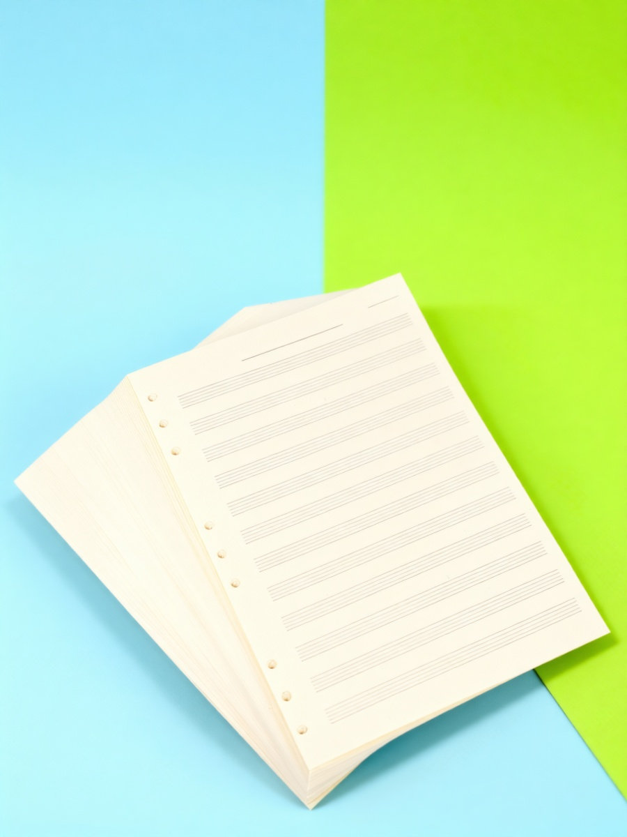 100 Sheets Music Manuscript Pa - đánh giá và giá Blank Sheet Music Notebook